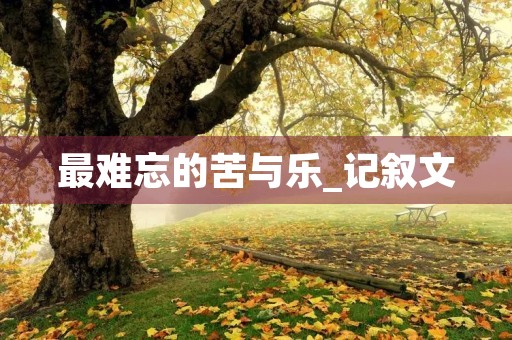 最难忘的苦与乐_记叙文