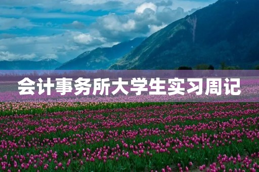 会计事务所大学生实习周记