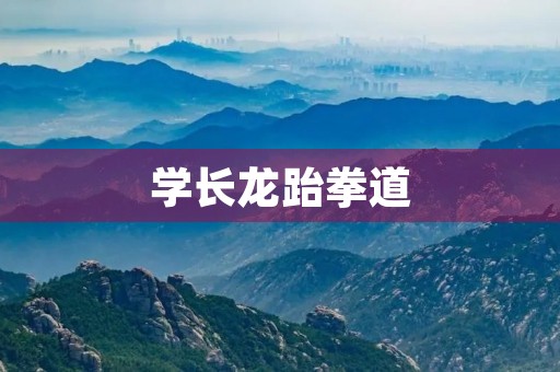 学长龙跆拳道
