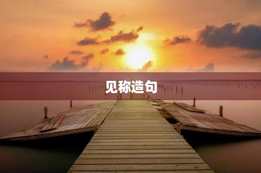见称造句