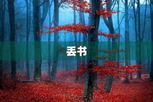 丢书