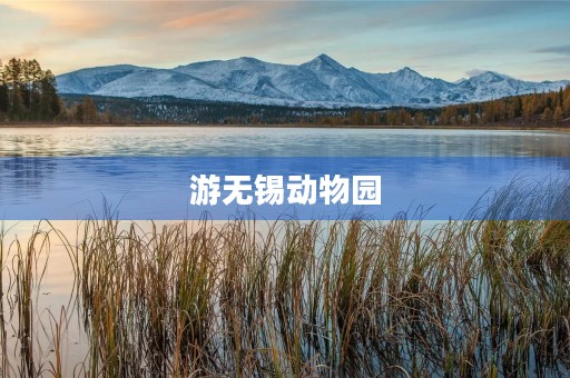 游无锡动物园