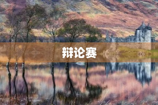 辩论赛