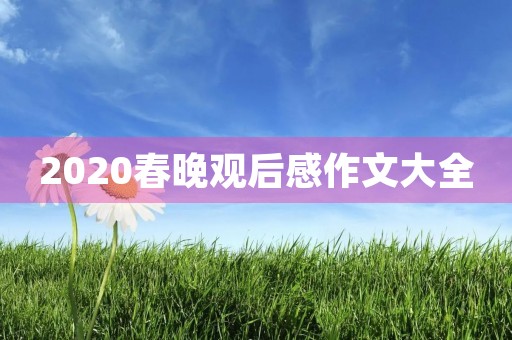 2020春晚观后感作文大全