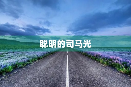 聪明的司马光 聪明的司马光