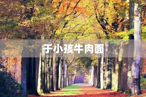 于小孩牛肉面 于小孩牛肉面