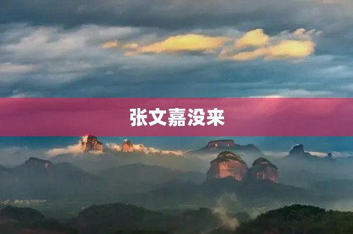 张文嘉没来 张文嘉没来