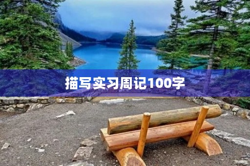 描写实习周记100字 描写实习周记100字