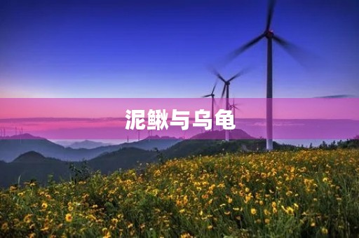 泥鳅与乌龟