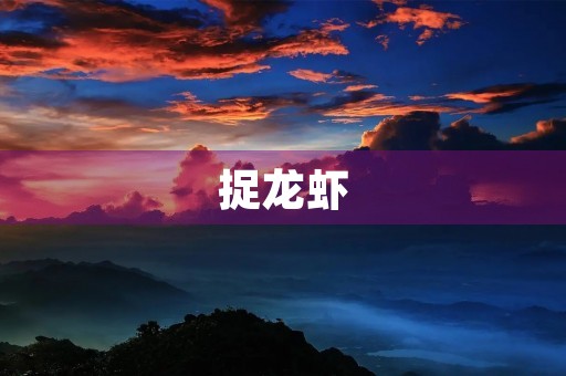 捉龙虾 捉龙虾
