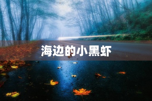 海边的小黑虾 海边的小黑虾