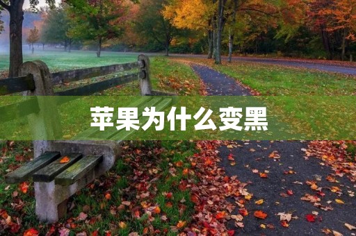 苹果为什么变黑 苹果为什么变黑