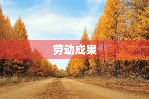 劳动成果