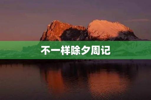 不一样除夕周记 不一样除夕周记