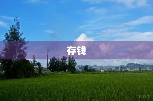 存钱