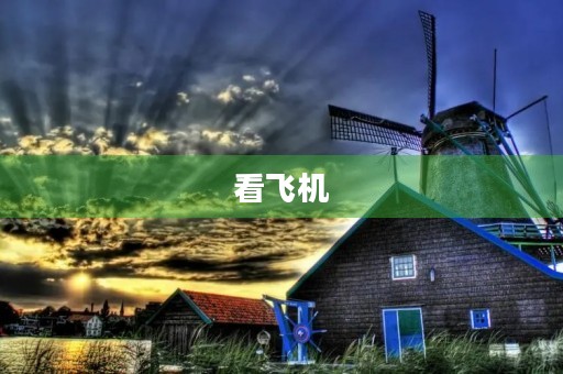 看飞机
