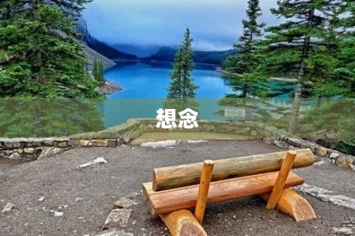 想念