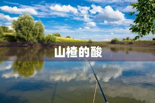 山楂的酸