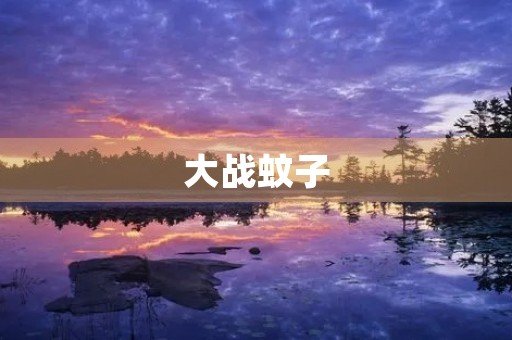 大战蚊子