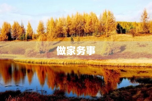 做家务事 做家务事