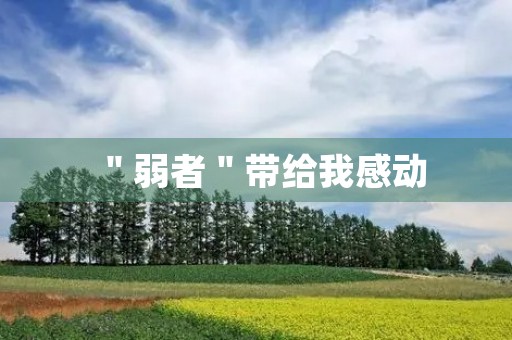 "弱者"带给我感动 "弱者"带给我感动