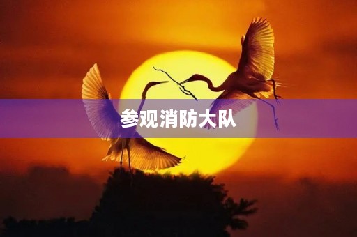 参观消防大队
