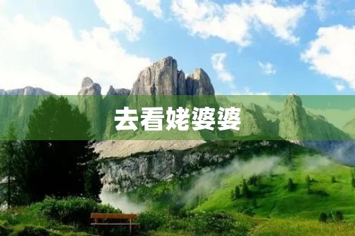 去看姥婆婆 去看姥婆婆