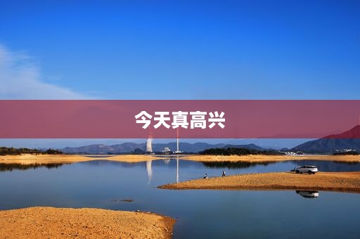 今天真高兴 今天真高兴
