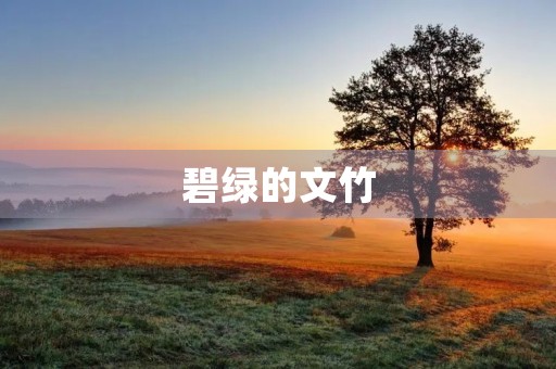 碧绿的文竹