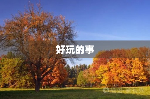 好玩的事 好玩的事