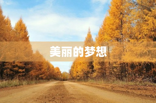 美丽的梦想 美丽的梦想