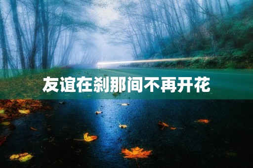 友谊在刹那间不再开花