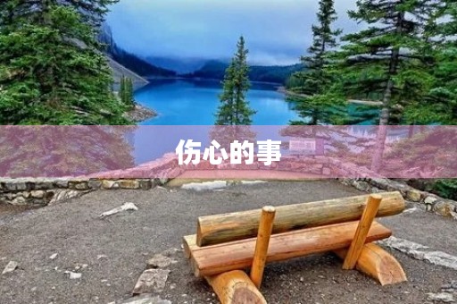 伤心的事 伤心的事
