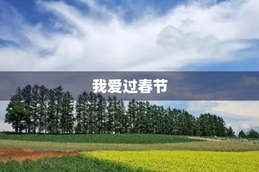 我爱过春节 我爱过春节