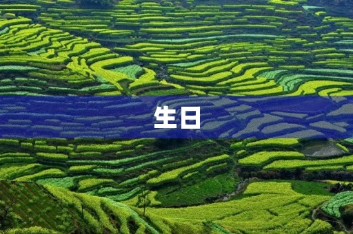 生日 生日