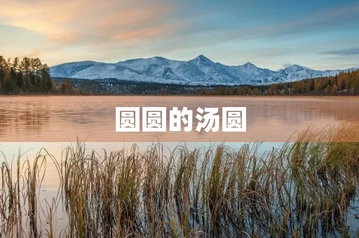 圆圆的汤圆 圆圆的汤圆