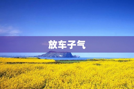 放车子气