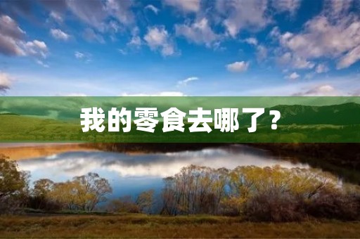 我的零食去哪了？