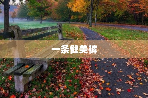 一条健美裤