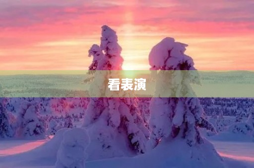 看表演