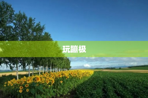 玩蹦极