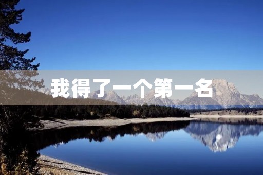 我得了一个第一名
