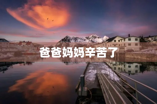 爸爸妈妈辛苦了