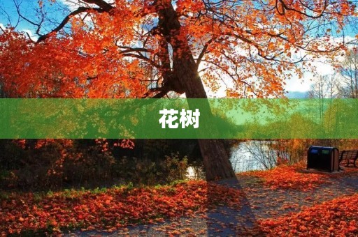 花树