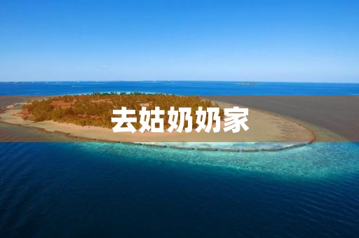 去姑奶奶家