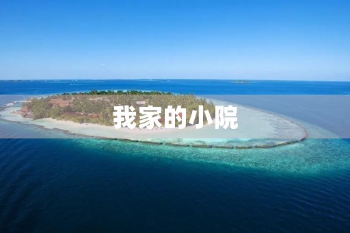 我家的小院