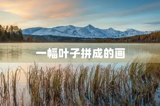 一幅叶子拼成的画 一幅叶子拼成的画