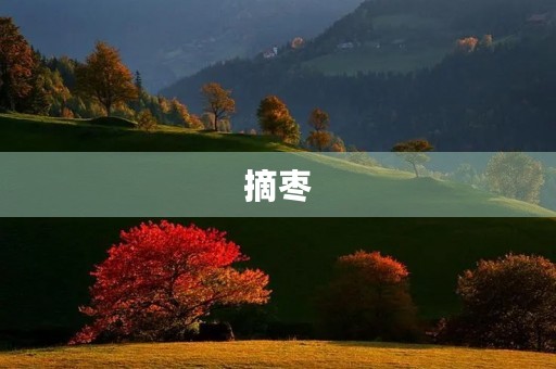 摘枣 摘枣