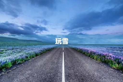 玩雪 玩雪