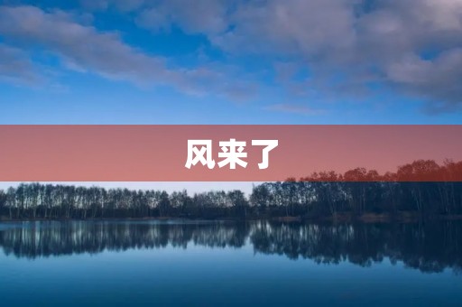 风来了 风来了